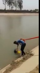Il sauve un chien de la noyade en déroulant son turban !