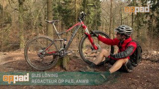 Test Cube Sting 120 29 mountainbike