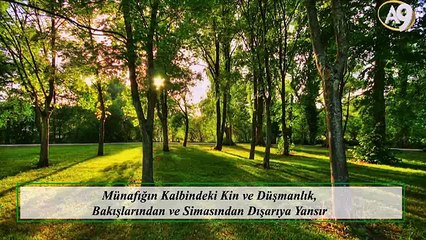 Münafığın Kalbindeki Kin ve Düşmanlık, Bakışlarından ve Simasından Dışarıya Yansır