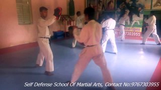 mavashi giri and round kick of martial arts