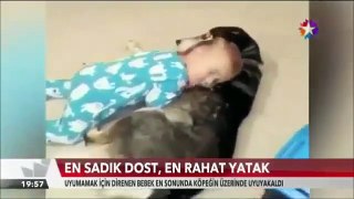 Sleepy Baby Cuddles with Dog