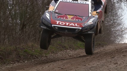 EXCLUSIF - PEUGEOT DKR 2008 S. Peterhansel -