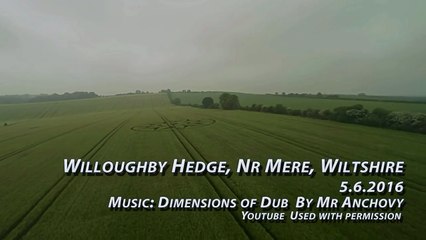 Crop Circle, Willoughby Hedge, Nr Mere, Wiltshire. 5-6-2016.