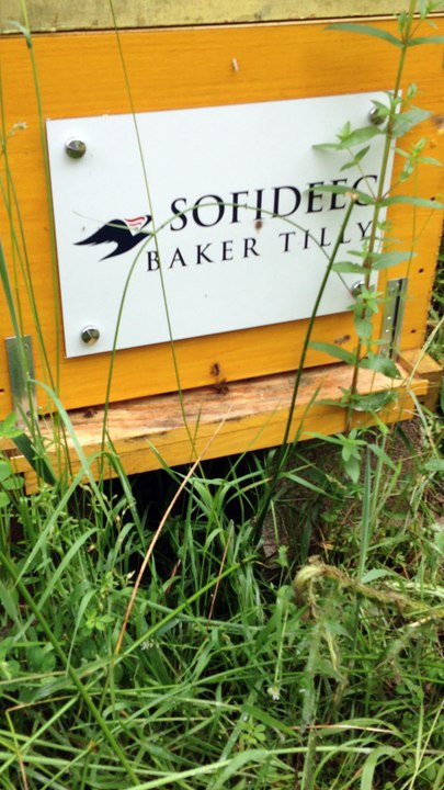 SOFIDEEC