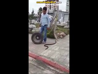 Lastik Değiştirmeye Yılanıyla Giden Sayko Adanalı