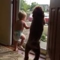 La reacción de un bebé y su perro cuando llega papá