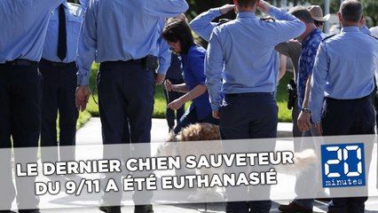 Le dernier chien sauveteur du 11 septembre a été euthanasié