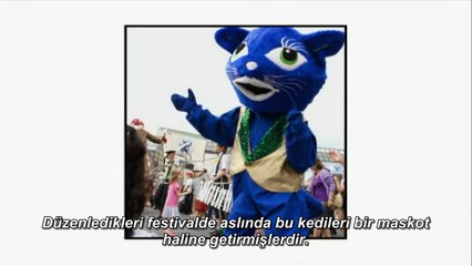 Kedi Cinsleri: Chartreux (Türkçe Altyazılı)