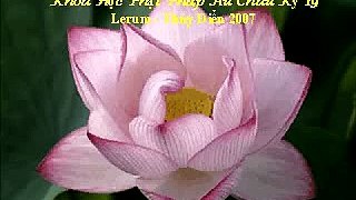Lerum 2007 - Khoa Hoc Phat Phap Chau Au ky 19