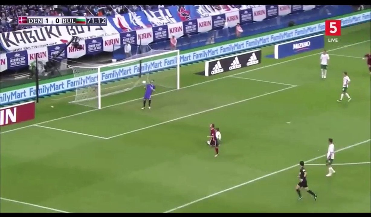 Denmark vs Bulgaria 4-0 ~ All Goals & Highlights