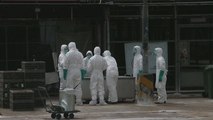 Miles de pollos sacrificados en Hong Kong por gripe aviar