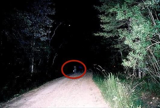 Most Haunted Forests and Woods Creepiest Places That Claim To Be Proof Of Ghosts