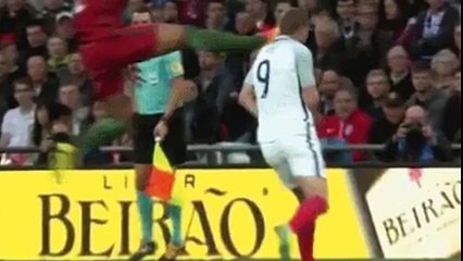 Anúnico Licor Beirão