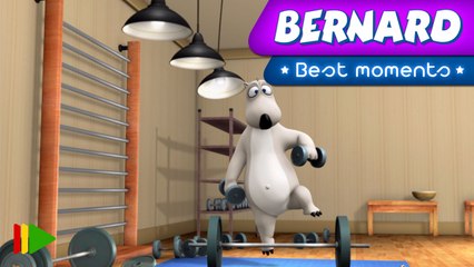 Bernard Bear | "Bernard Fit" | Best Moments
