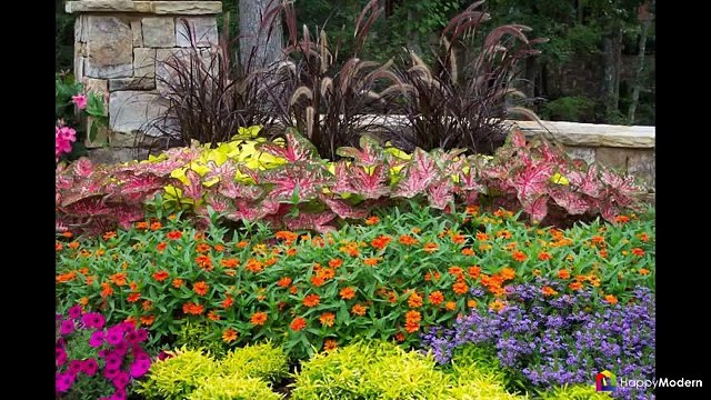 Многолетние растения (70 фото) Все лучшие сорта и идеи для роскошного сада