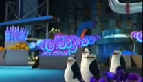 Pingwiny z Madagaskaru sezon 3 odc 13 Szeregowy i fabryka cuksów PL CAŁY ODCINEK!