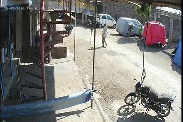 whatsapp funny videos india कभी देखा है लंगूर का ऐसे 'एक्शन'