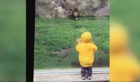 Japon: moment de panique pour cet enfant au zoo de Chiba