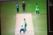 whatsapp funny videos totally confused in live cricket match