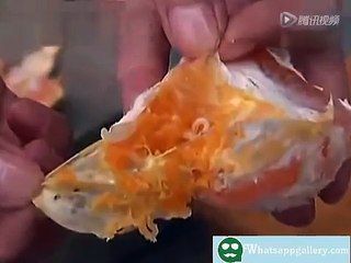 whatsapp funny videos beware check before eating