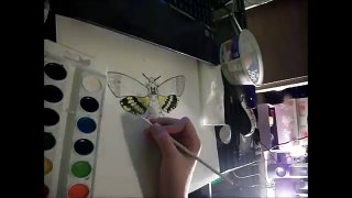 Silence Of The Lambs tribute speed paint: deaths head moth