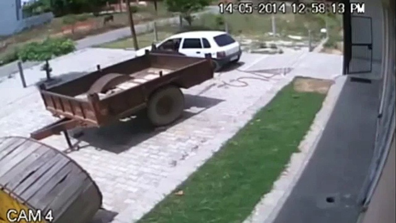 Thieves Caught On CCTV Stealing A Cow In India