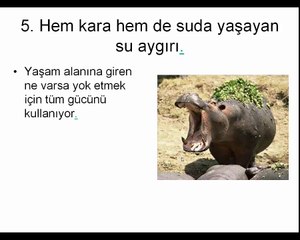 En Tehlikeli 10 Hayvan