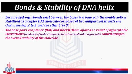 Bonds & Stability of DNA Helix