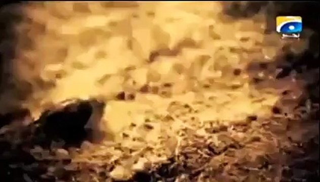 Dr Amir Liaqat full version of Ramadan ad