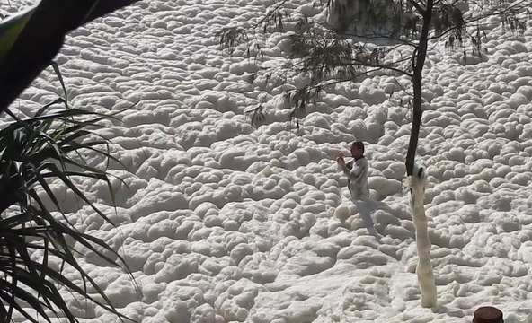 Une incroyable mer de mousse envahit les côtes Australiennes