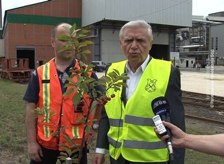Trešnja ispod dimnjaka, 07. jun 2016. (RTV Bor)