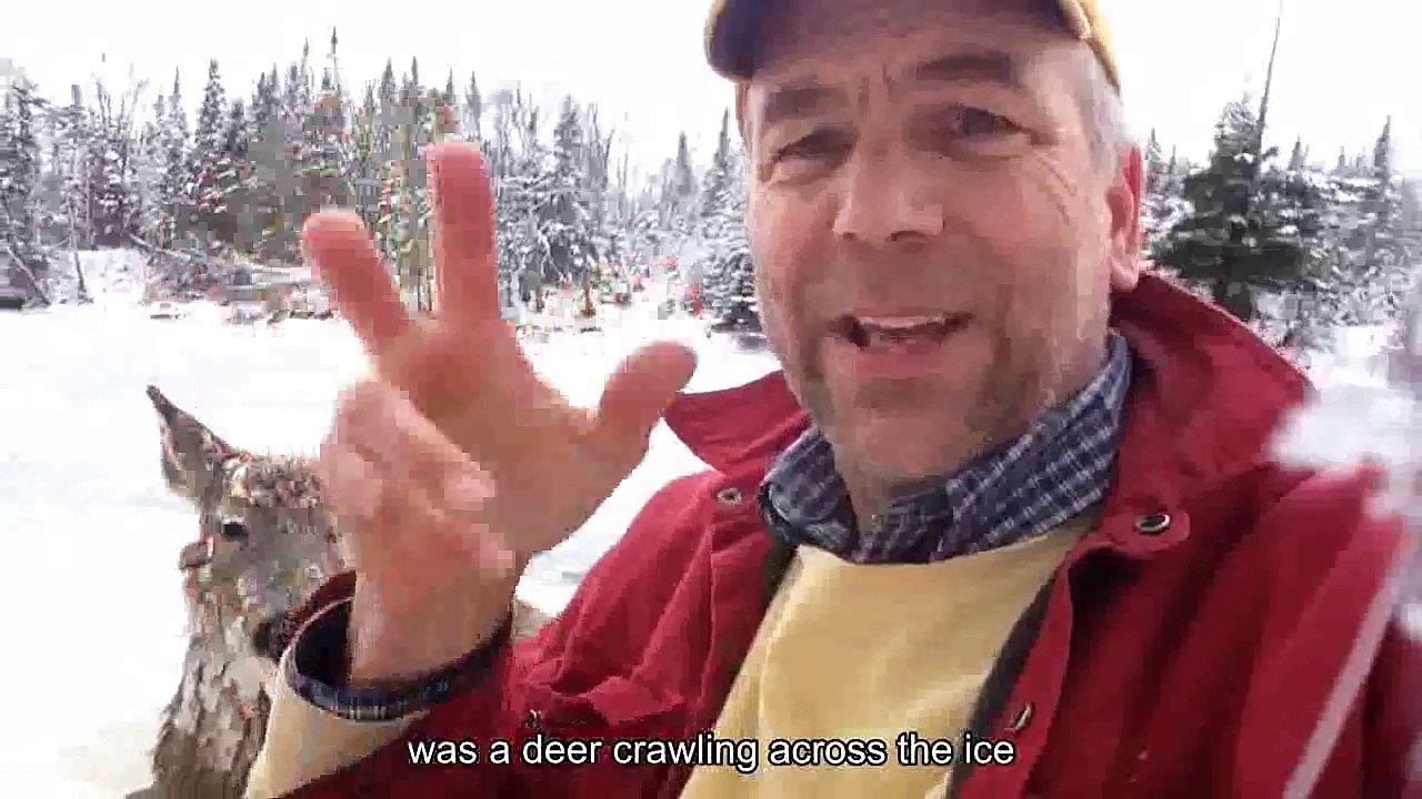 Un homme sourd va à la rescousse d'un cerf piégé par la glace. La réaction de la bête est émouvante.