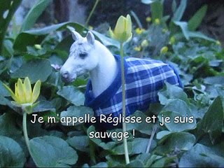 [Série schleich] Amour Eternel - Episode 1