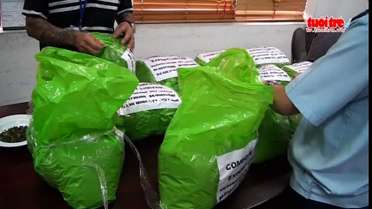 Bắt hơn 1 tấn lá chứa chất ma túy cực mạnh