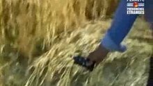 PLANETE crop circles et traces d'ovnis part.3...