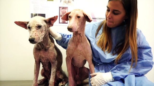 Il entre dans cet immeuble abandonné, ce qu'il trouve à l'intérieur vous donnera des frissons!