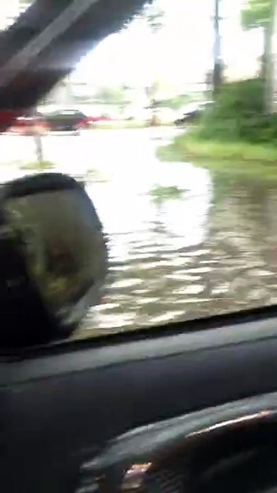 So sieht es gerade in Duisburg Wedau