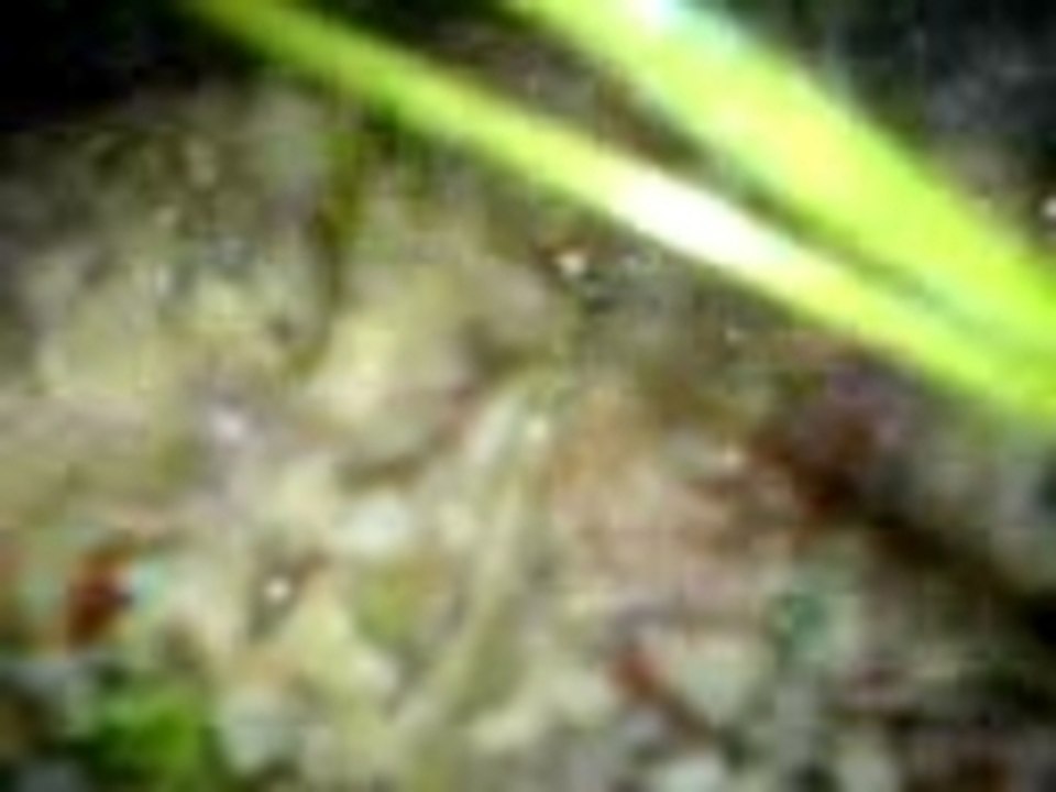 GERBINATOR!!!!!!!!!!!!!!!!!!!!