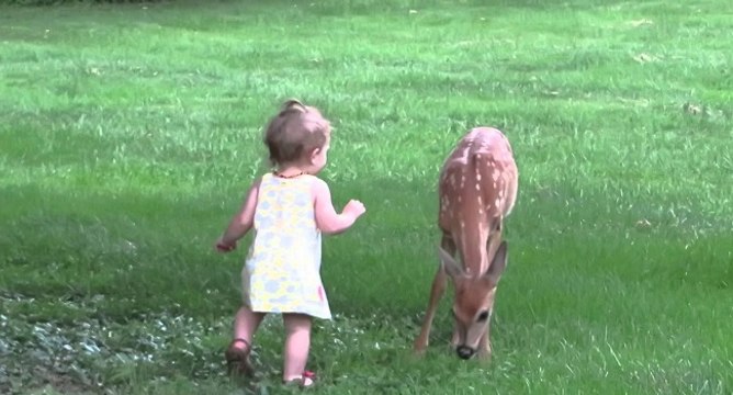 Une petite-fille rencontre un faon dans son jardin