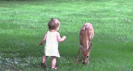 Une petite-fille rencontre un faon dans son jardin
