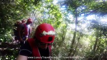 Hiking in the rain forest Cruise Holidays | Luxury Travel Boutique