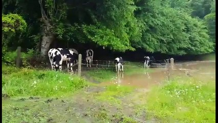 Inondations et coulées de boue entre Lucheux et Mondicourt
