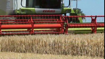 Claas Lexion 600   Vario V1050