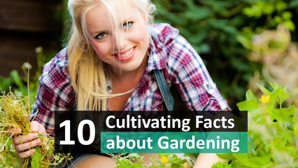 10 Cultivating Facts about Gardening