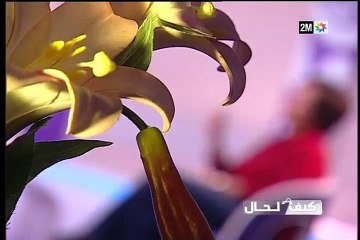 كيف الحال : الثلاثاء 7 يونيو