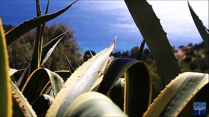 Appartement 2 pièces, Cavalaire centre
