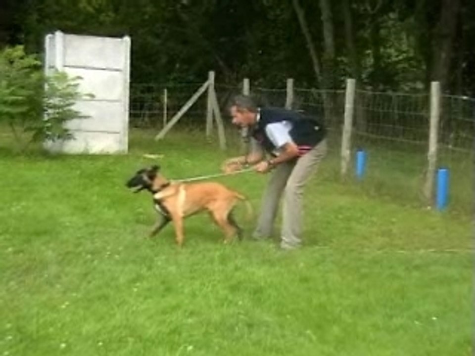 SansTitre_0006