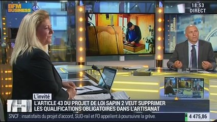 Dominique Potier commente le projet de loi Sapin 2 en débat depuis lundi à l'Assemblée