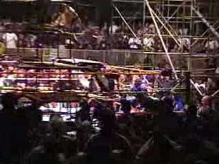 Wwf-wwe owen hart fall (1)