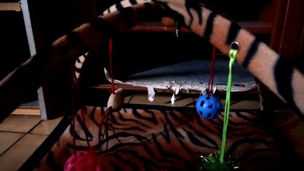 Khan-lé de Bordeaux ^^